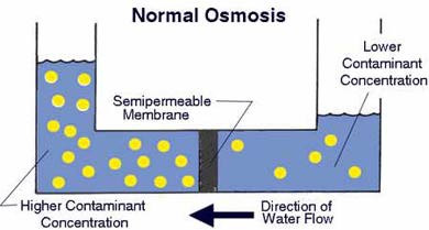 skema proses osmosis